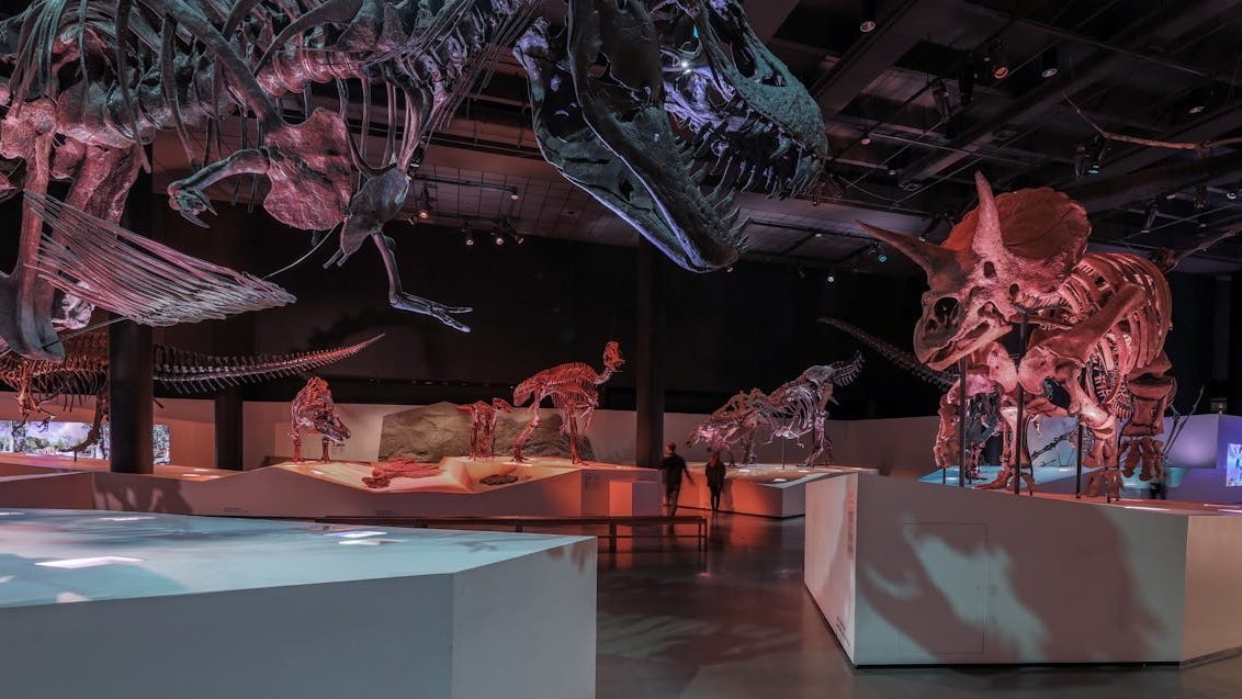 Houston Museum of Natural Science Ticket
