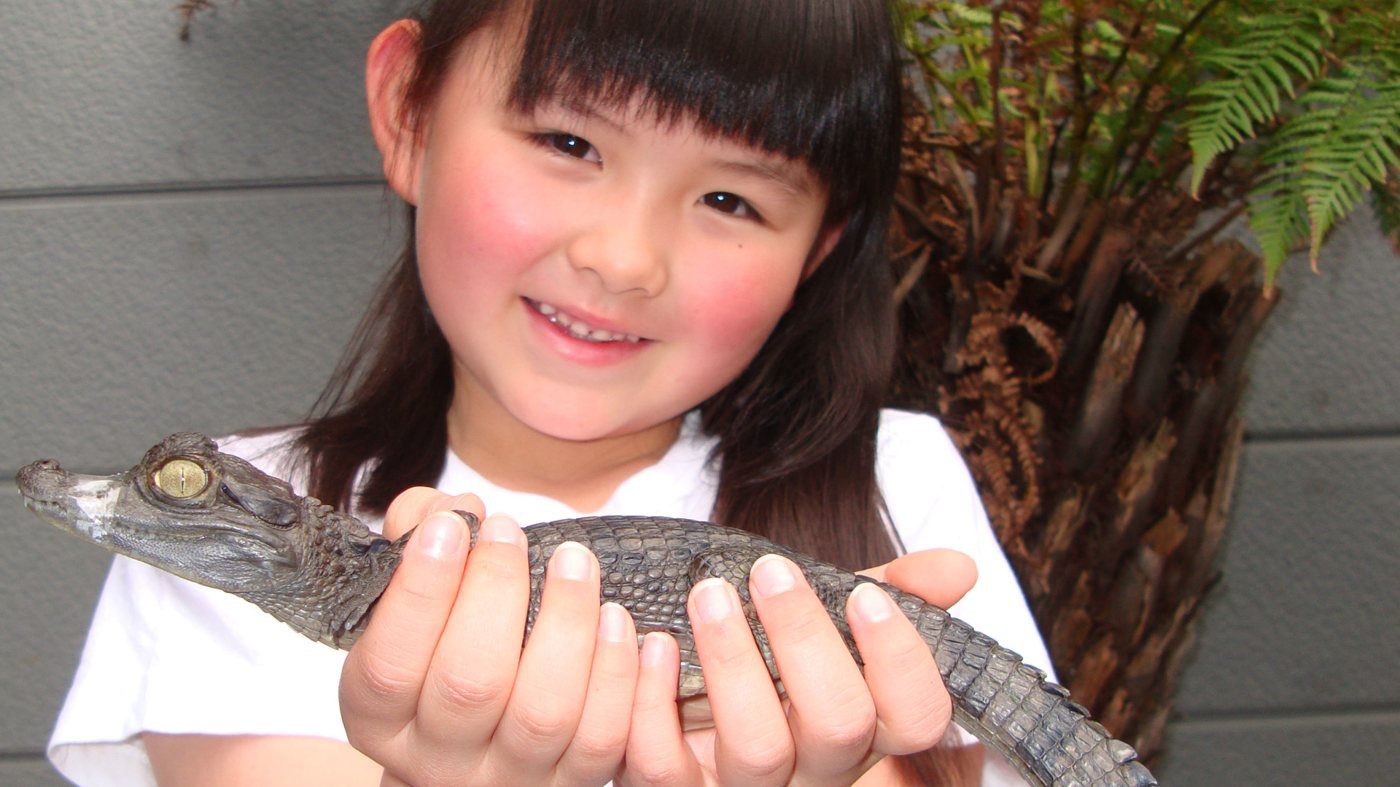 iZoo Sensory Zoo Ticket