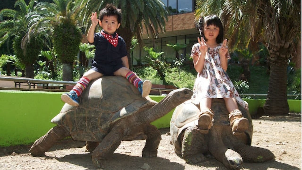 iZoo Sensory Zoo Ticket