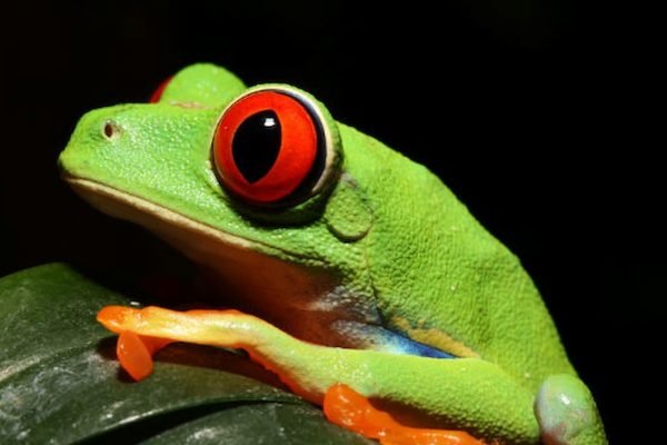 iZoo Sensory Zoo Ticket | Book Online