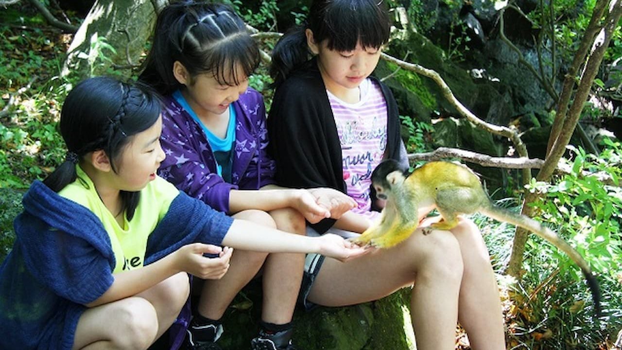 Izu Shaboten Zoo Ticket