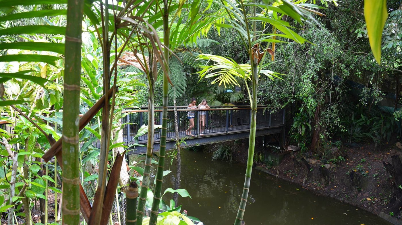 Kuranda Koala Gardens