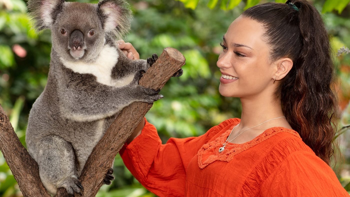 Kuranda Koala Gardens