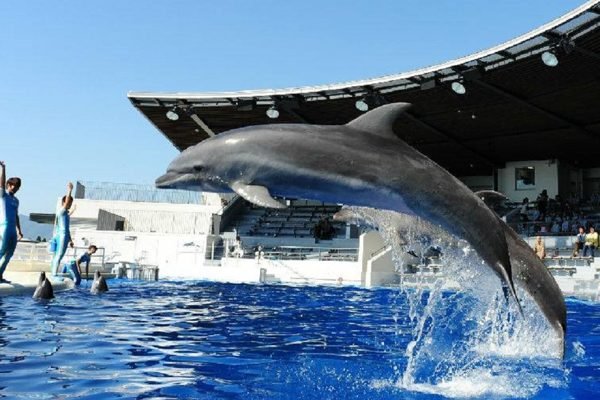 Kyoto Aquarium Ticket | Book Online