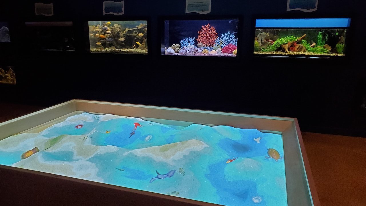 Las Vegas Natural History Museum