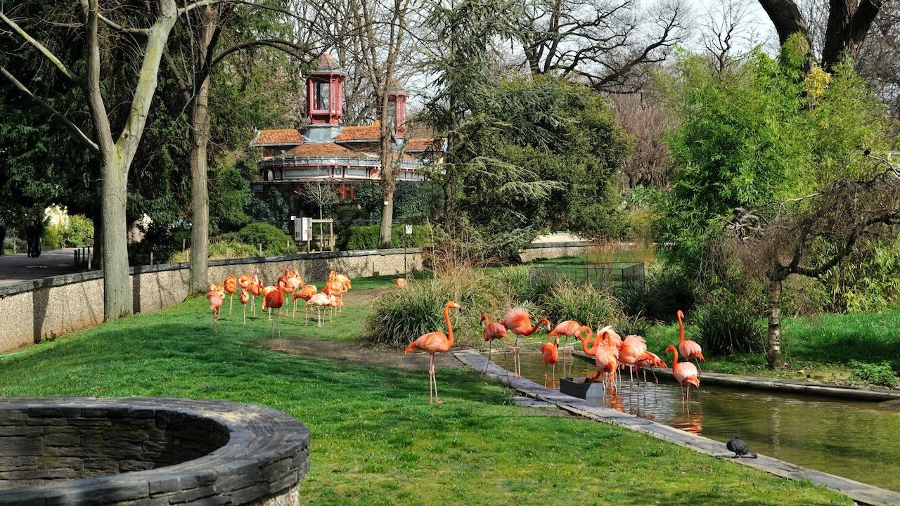 Ménagerie, Zoo of the Jardin des Plantes