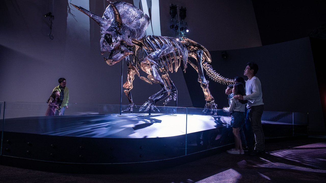 Melbourne Museum