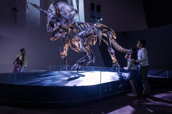 Melbourne Museum Carlton Tickets | Book Online