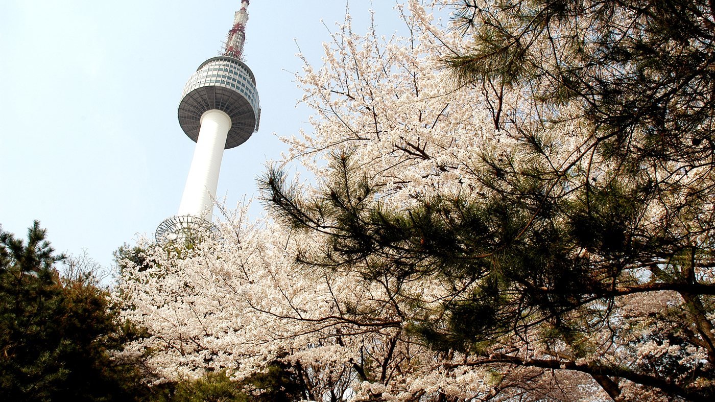 N Seoul Tower Ticket