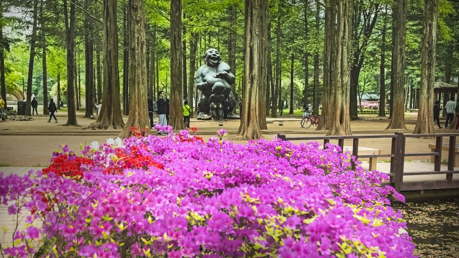 Nami Island, Petite France, and Italian Village Tour from Seoul