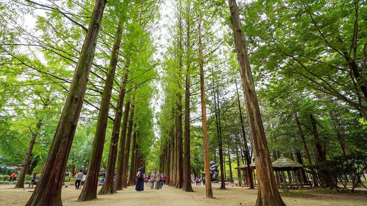 Nami Island, Petite France, and Italian Village Tour from Seoul