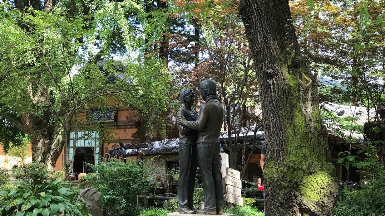 Nami Island, Petite France, and Italian Village Tour from Seoul