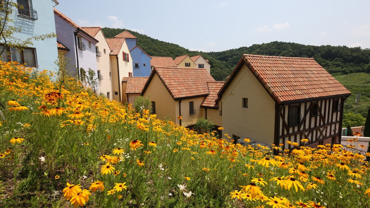 Nami Island, Petite France, and Italian Village Tour from Seoul