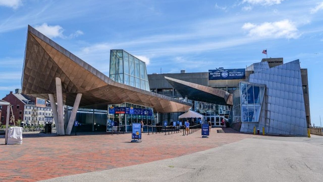 New England Aquarium Ticket