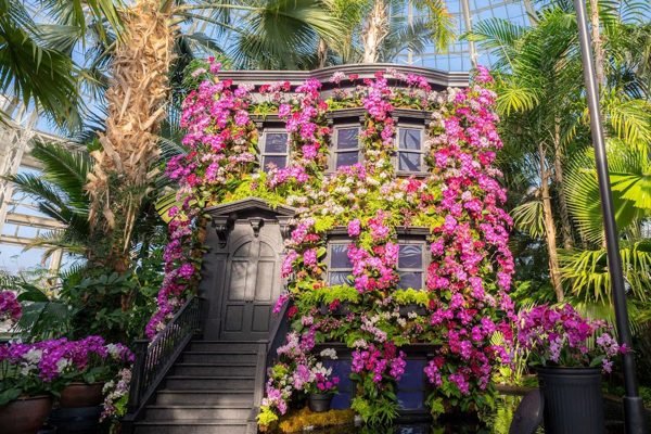 New York Botanical Garden Ticket | Book Online