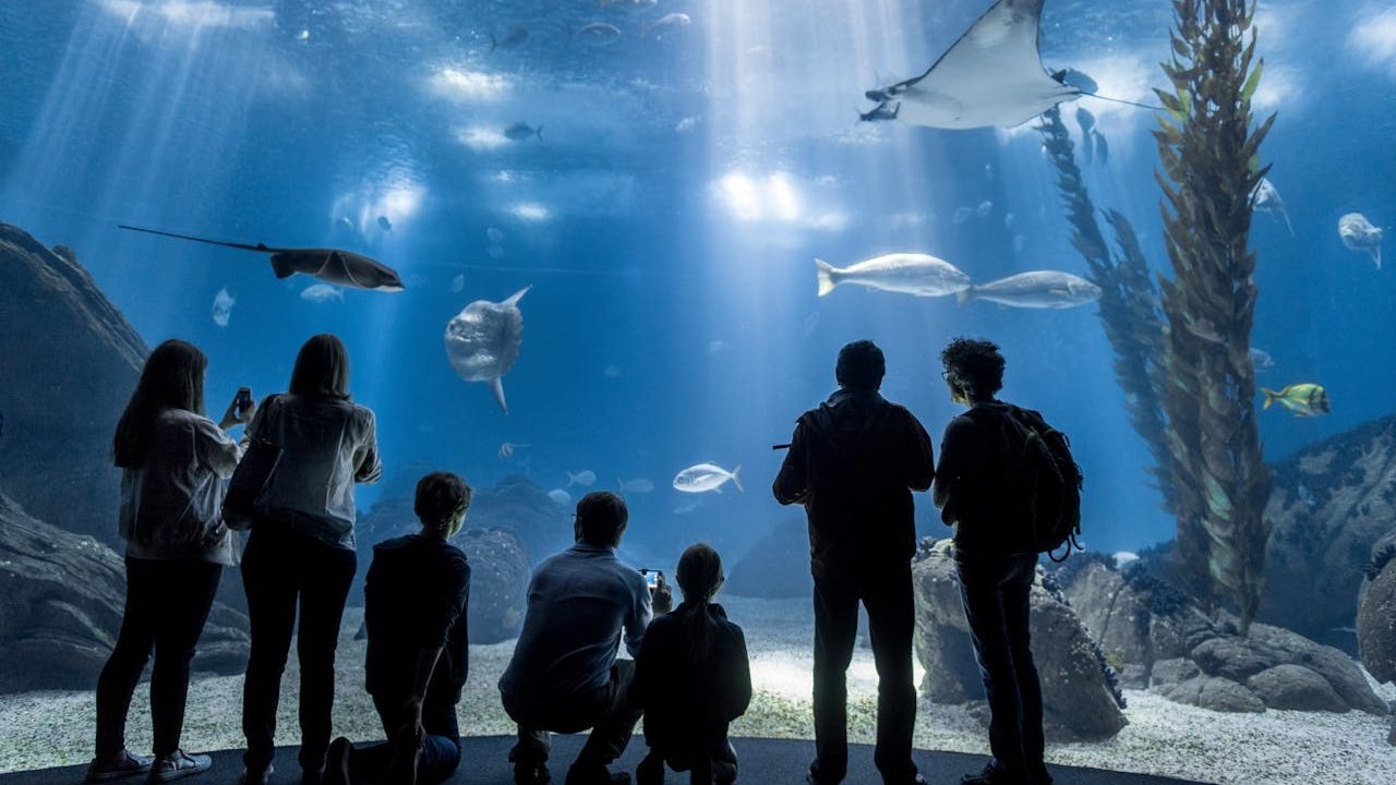Oceanário de Lisboa Ticket