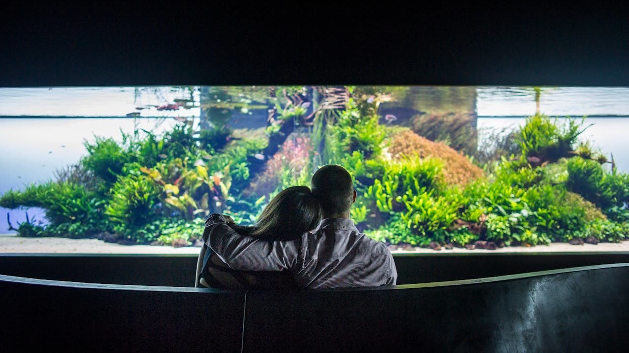 Oceanário de Lisboa Ticket