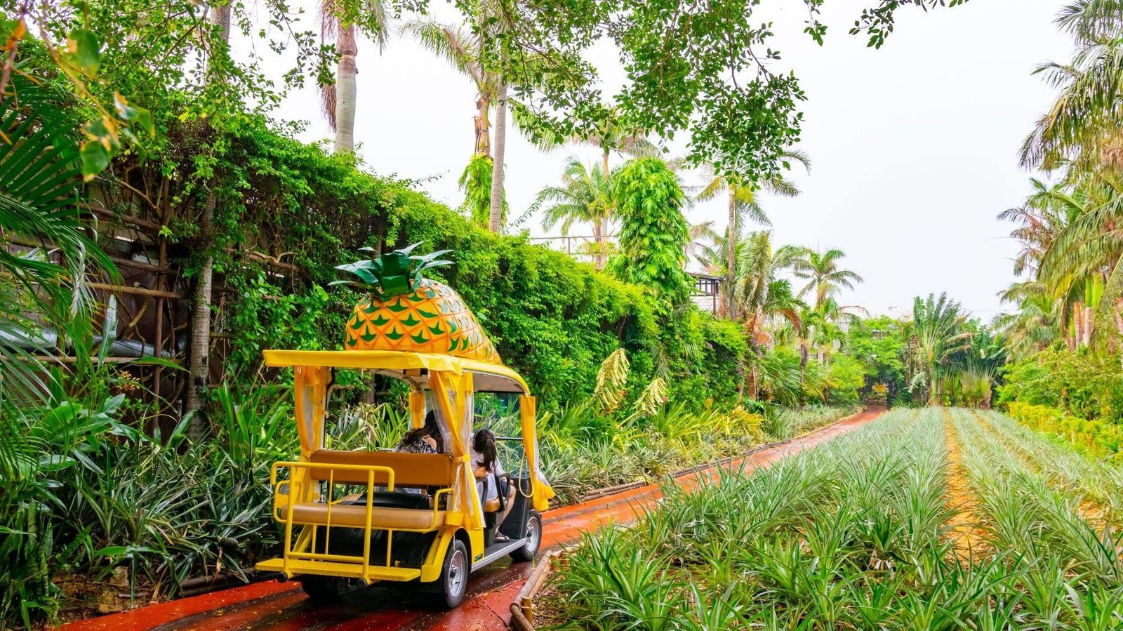 Okinawa Nago Pineapple Park