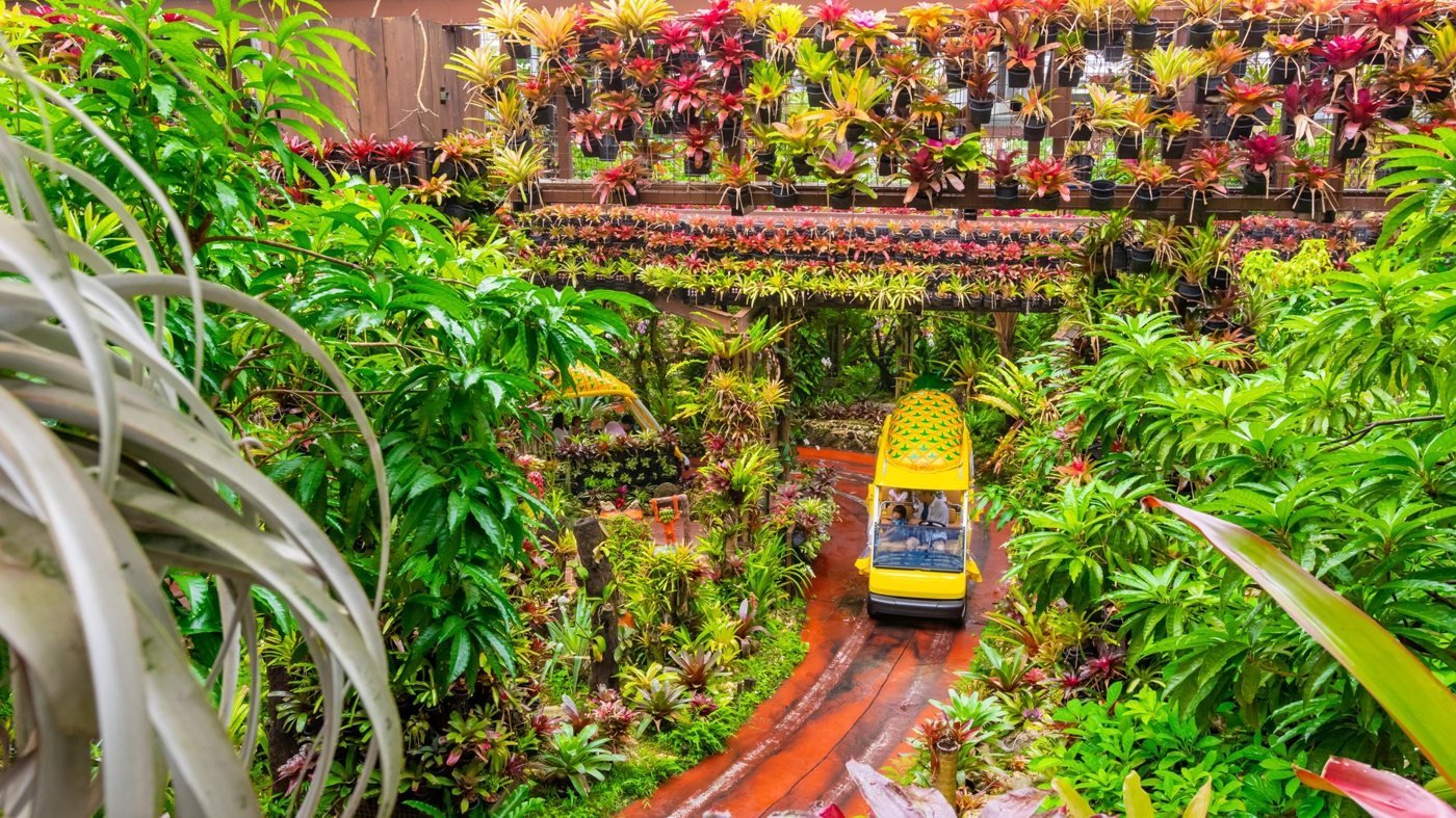 Okinawa Nago Pineapple Park