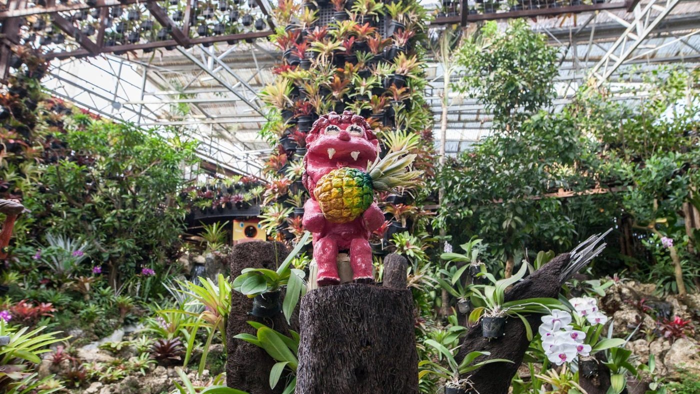 Okinawa Nago Pineapple Park