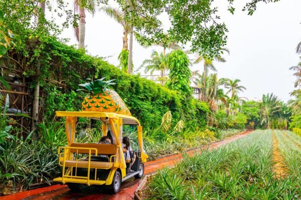 Okinawa Nago Pineapple Park Tickets | Book Online