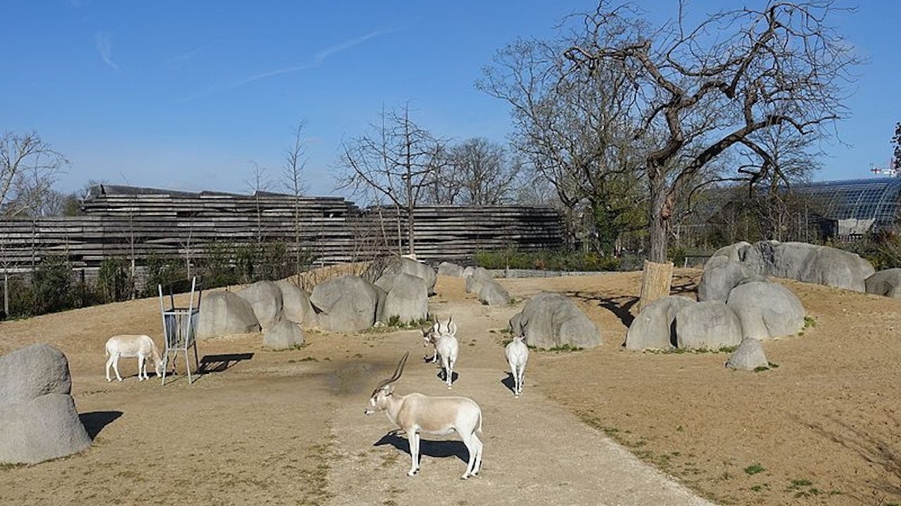 Paris Zoo (Parc Zoologique de Paris)