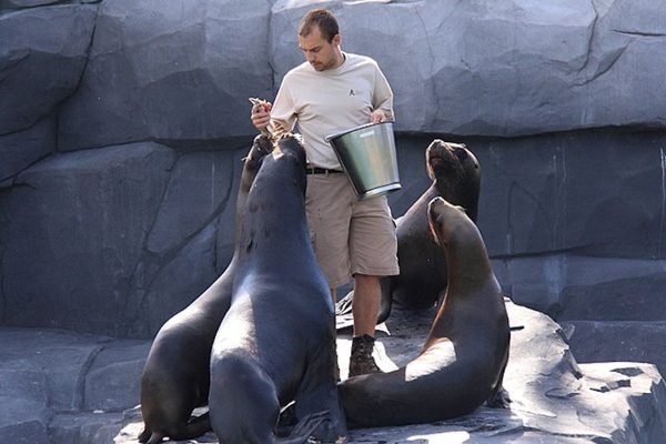 Paris Zoo (Parc Zoologique de Paris) Tickets | Book Online
