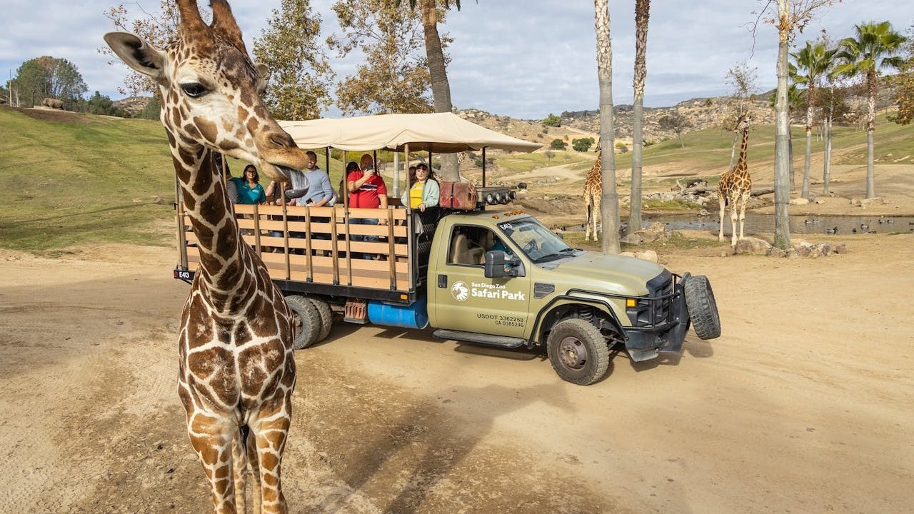 San Diego Zoo Safari Park Ticket