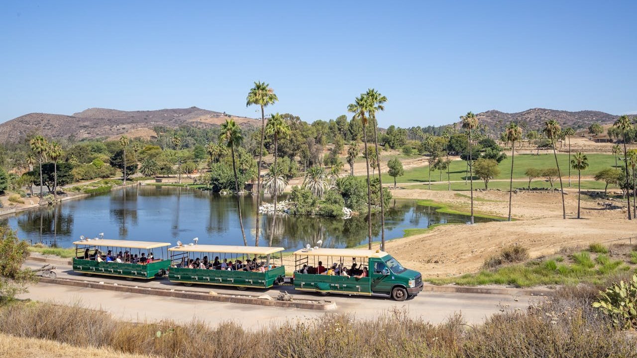 San Diego Zoo Safari Park Ticket