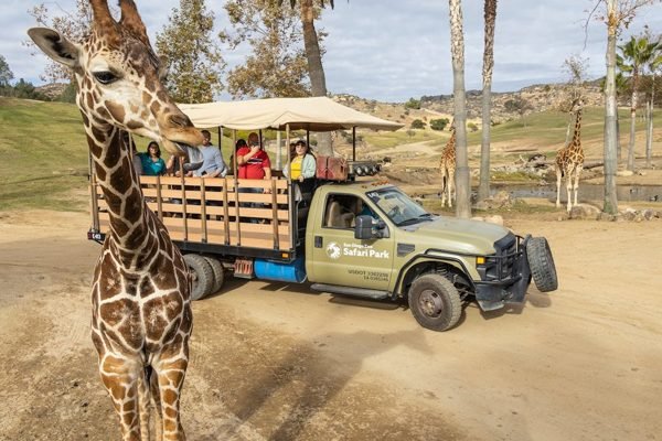 San Diego Zoo Safari Park Escondido Tickets | Book Online