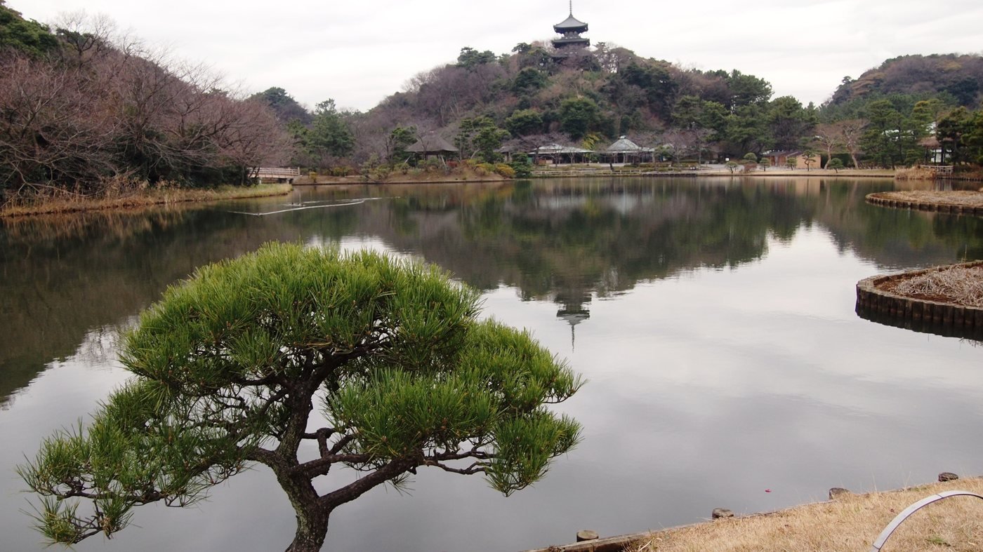 Sankeien Garden Ticket