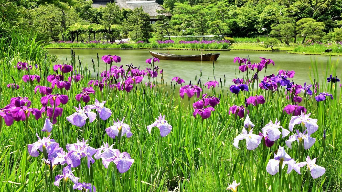 Sankeien Garden Ticket