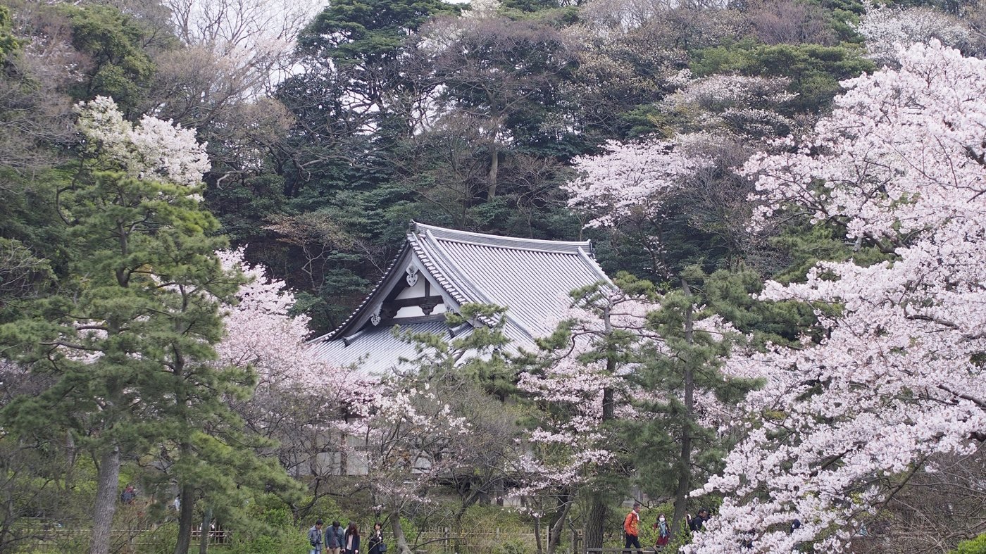 Sankeien Garden Ticket