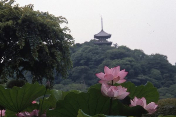 Sankeien Garden Yokohama Tickets | Book Online