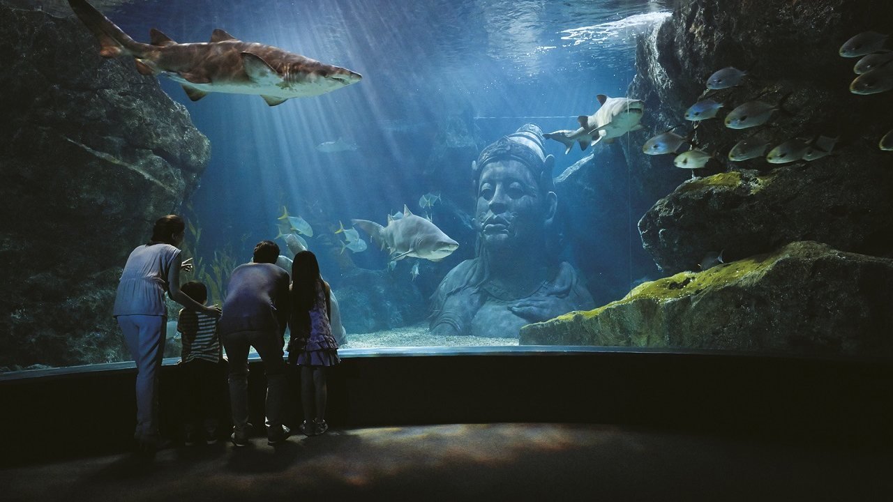 SEA LIFE Bangkok Ocean World Ticket