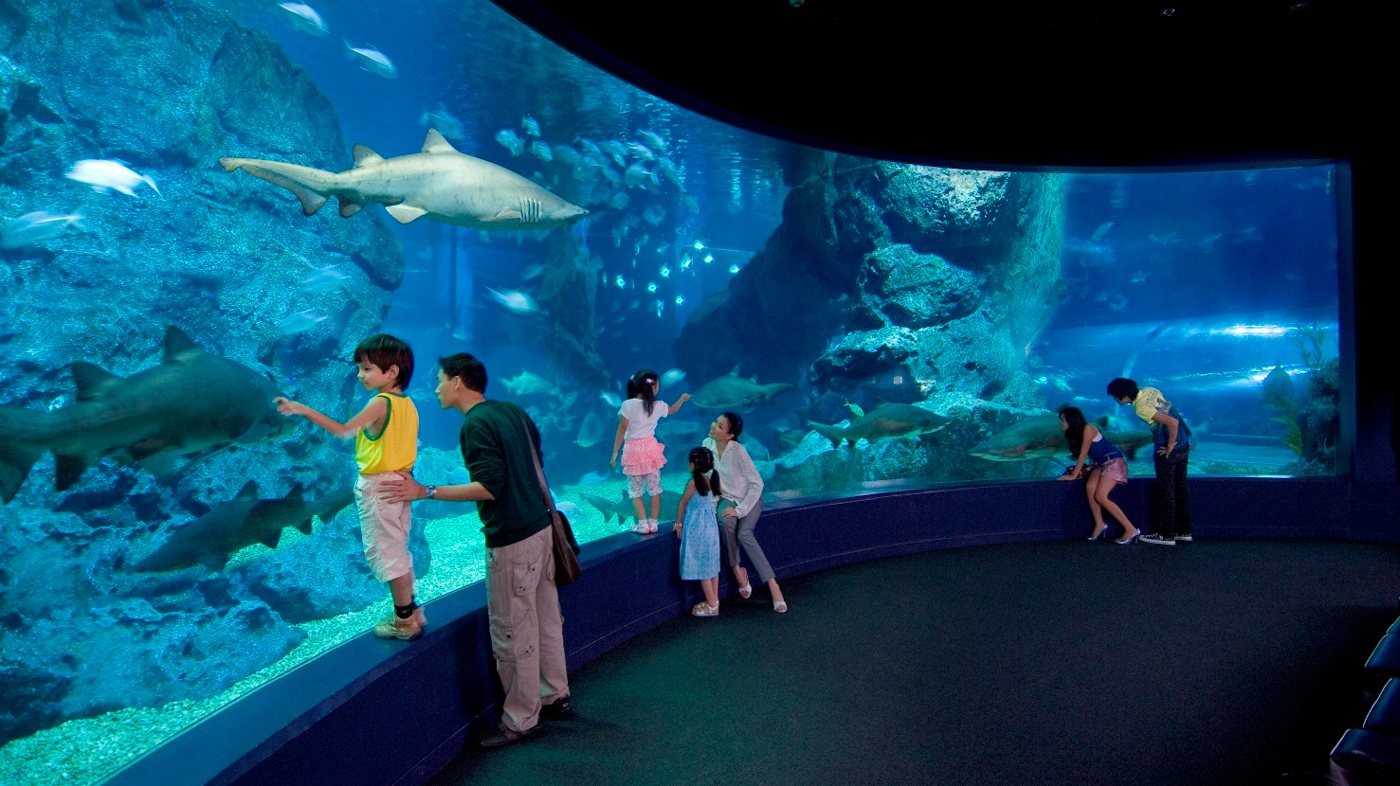 SEA LIFE Bangkok Ocean World Ticket
