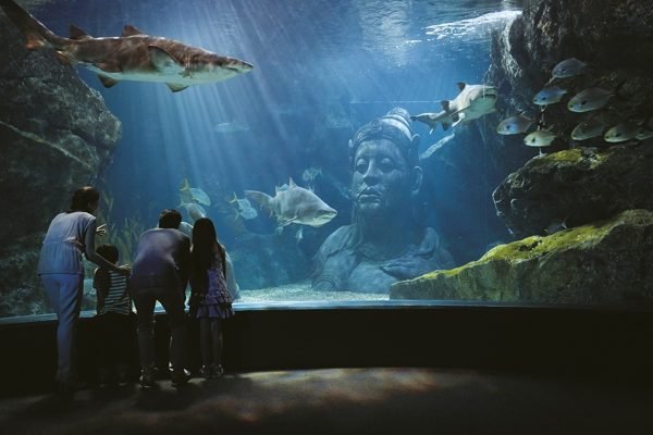 SEA LIFE Bangkok Ocean World Ticket | Book Online