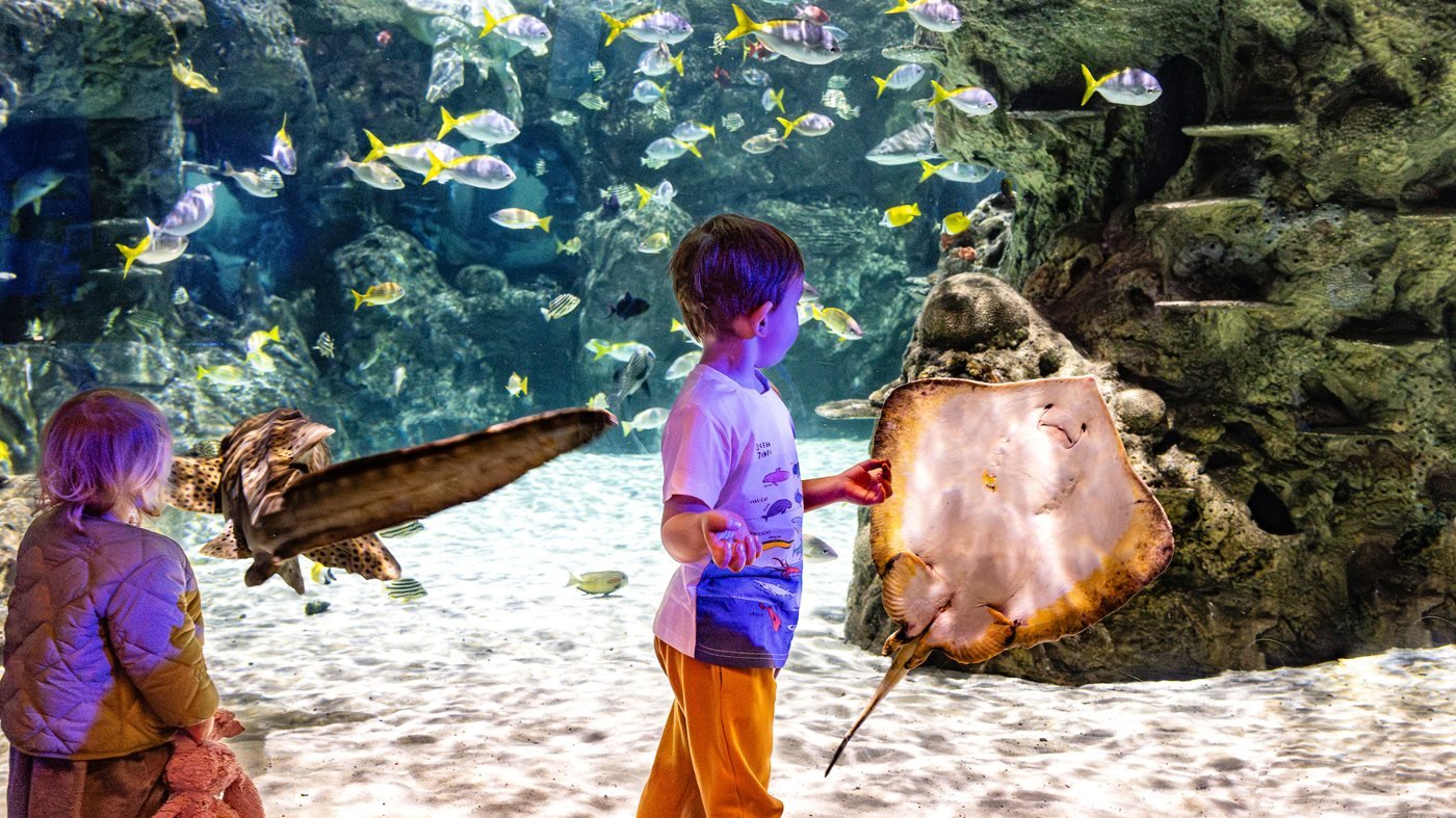 SEA LIFE Brighton Ticket