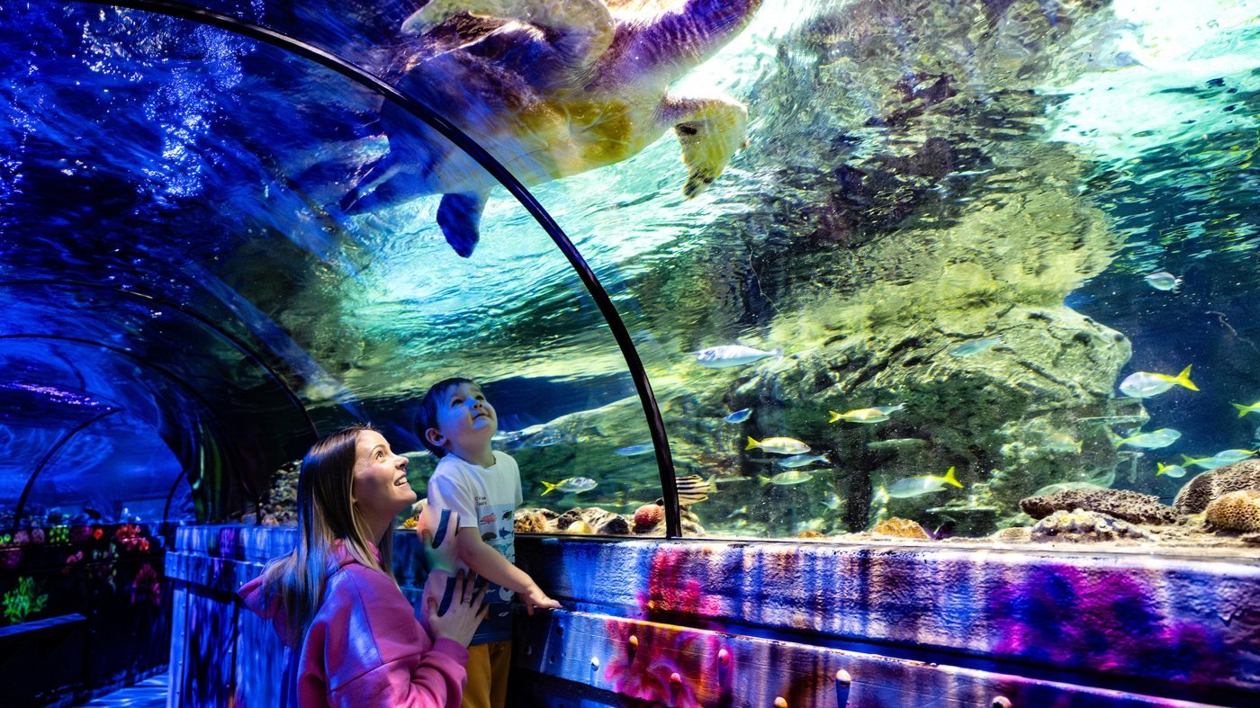 SEA LIFE Brighton Ticket