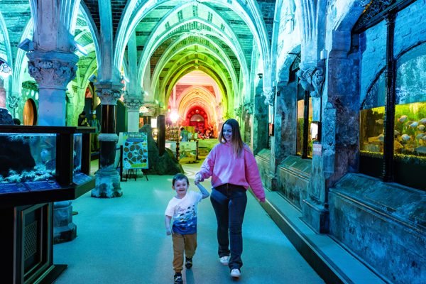 SEA LIFE Brighton Brighton and Hove Tickets | Book Online