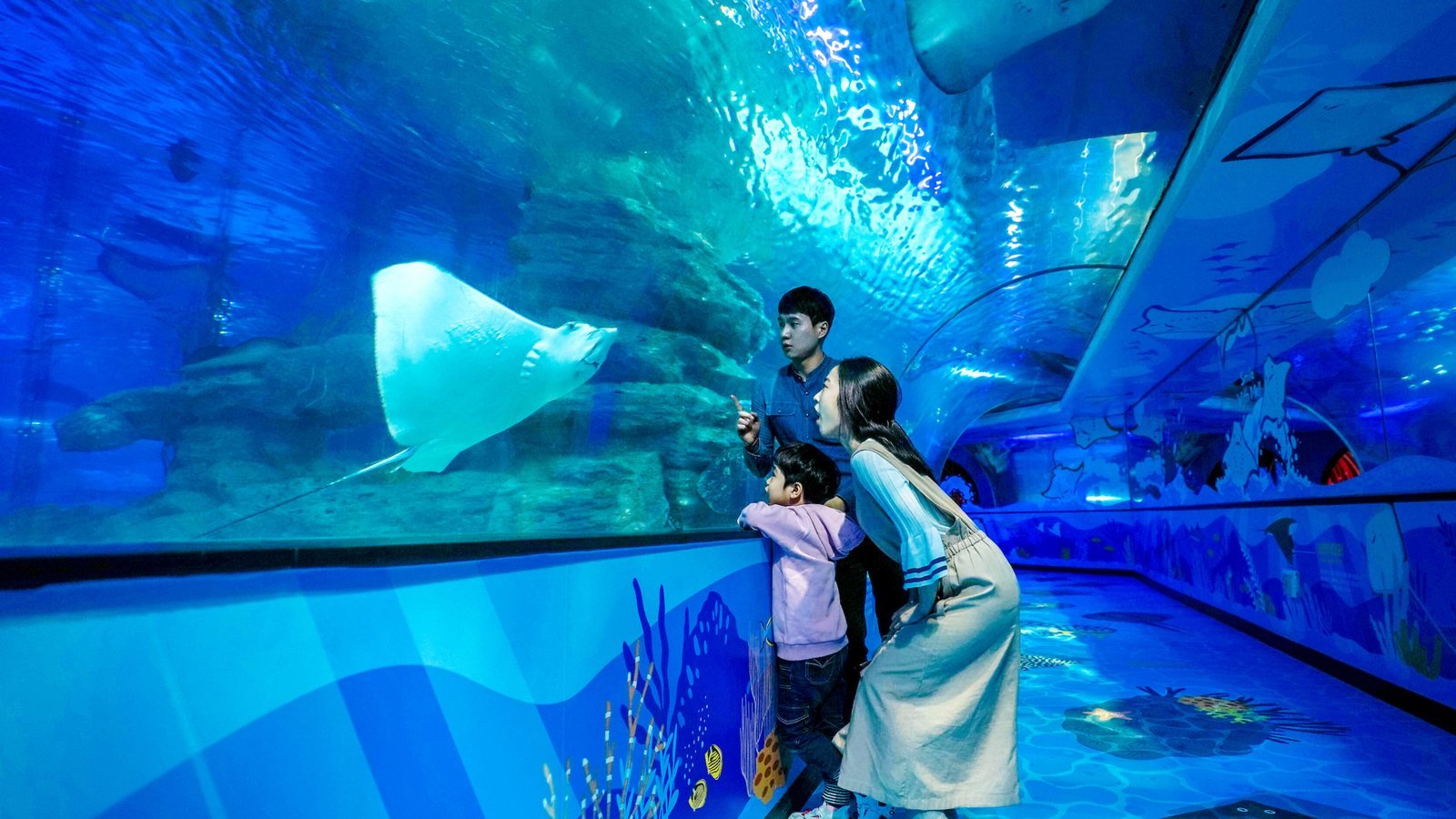 SEA LIFE Busan Aquarium Ticket
