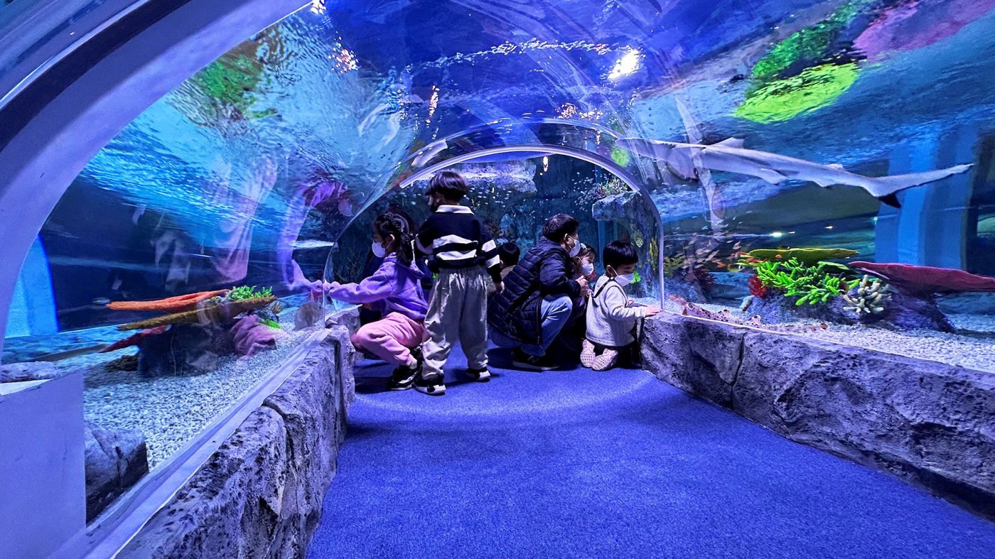 SEA LIFE Busan Aquarium Ticket