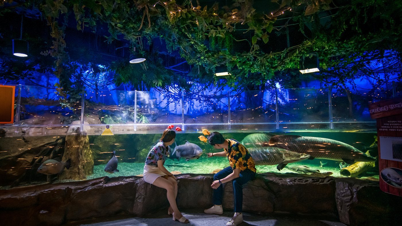 SEA LIFE Busan Aquarium Ticket