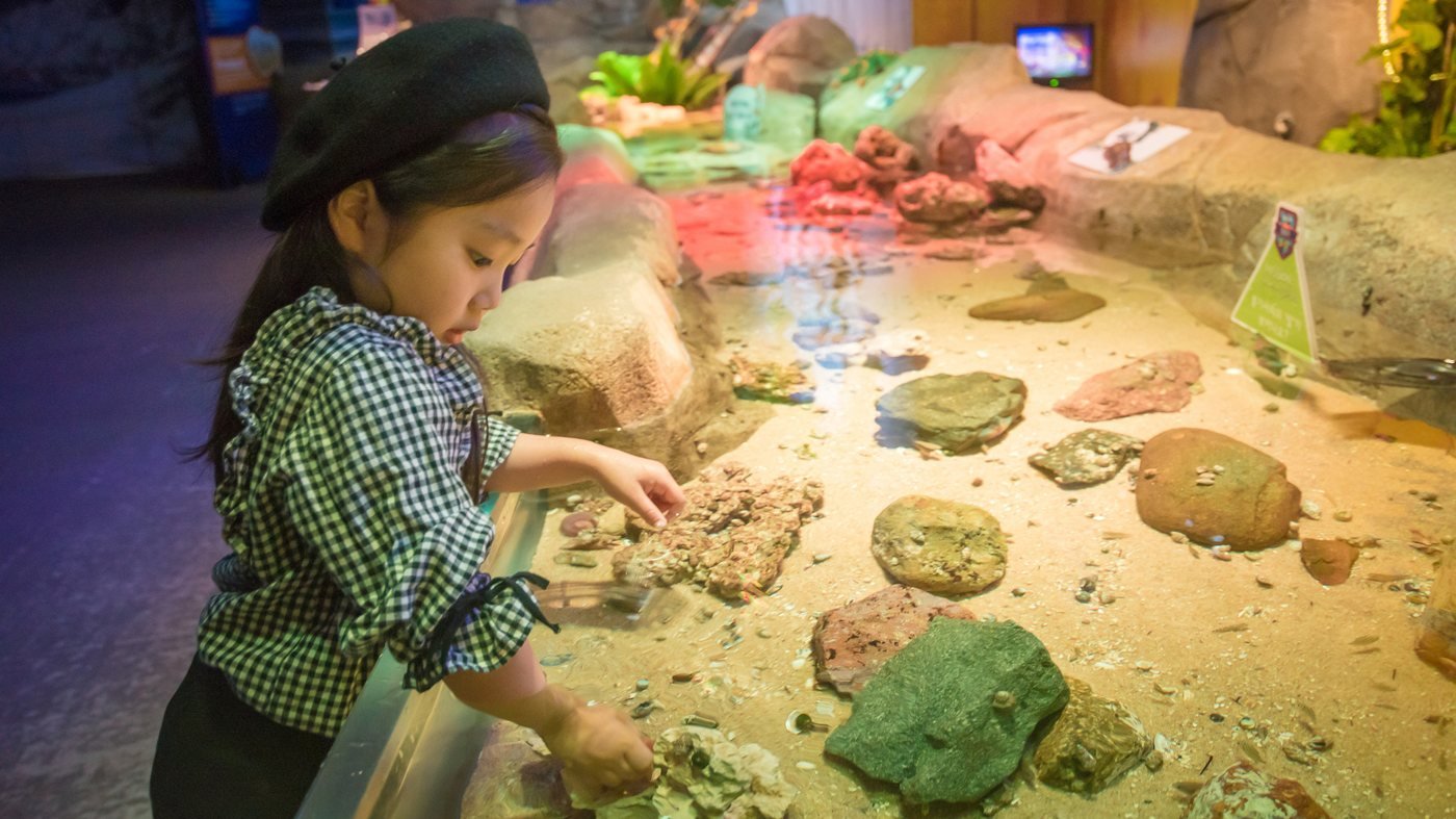 SEA LIFE Busan Aquarium Ticket