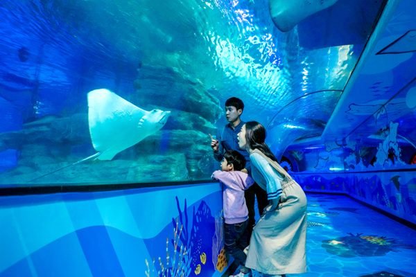 SEALIFE Busan Aquarium Tickets | Book Online
