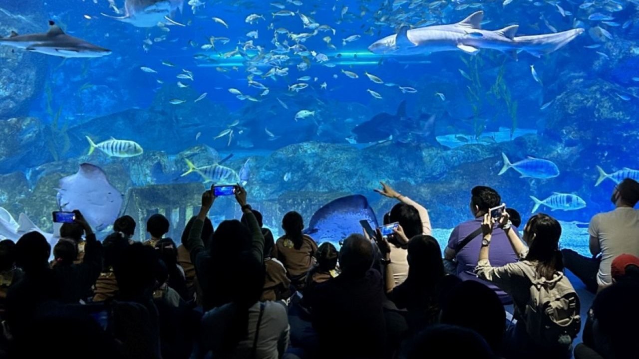 SEA LIFE COEX, Seoul Aquarium Ticket