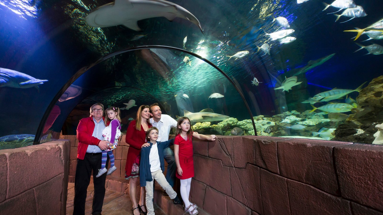 SEA LIFE Hannover Aquarium Ticket