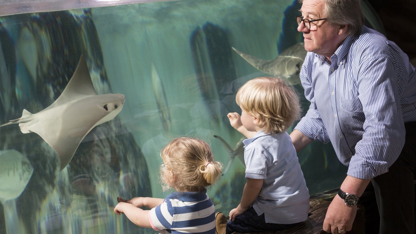 SEA LIFE Hannover Aquarium Ticket