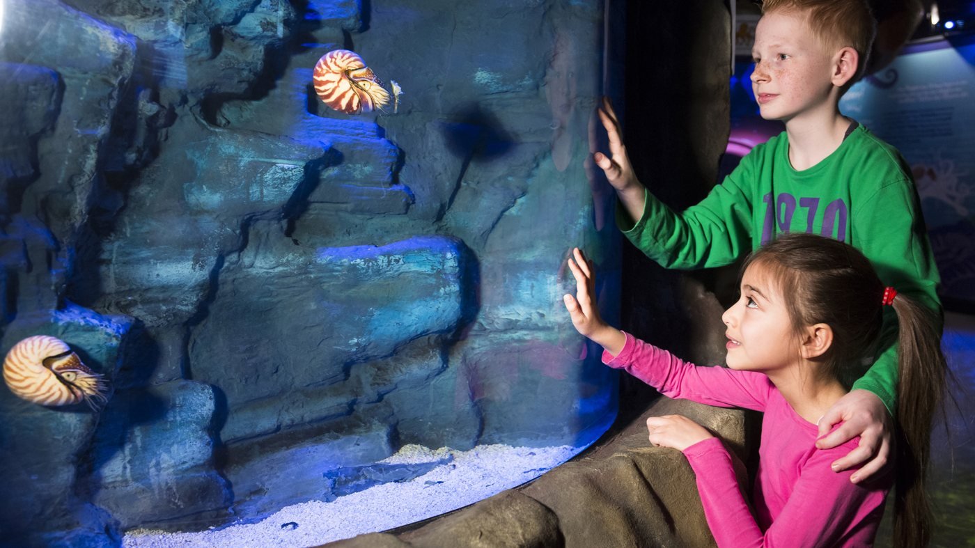 SEA LIFE Hannover Aquarium Ticket