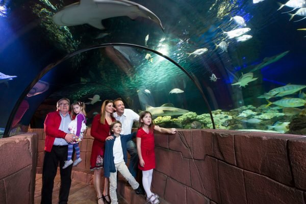 SEA LIFE Hannover Aquarium Ticket | Book Online